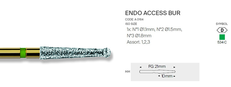 A0164 ENDO ACCESS BUR